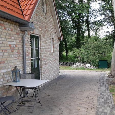 Bed and Breakfast De Waterjuffer à Elim Extérieur photo